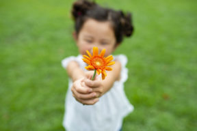 child-flower-thanks