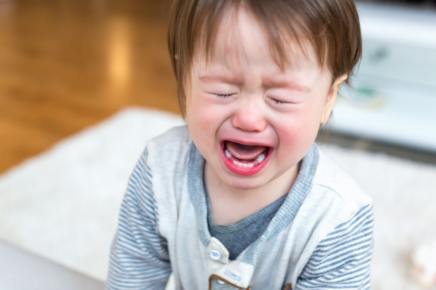 Help! My Toddler is Screaming a Lot! by Cora Megan, MA